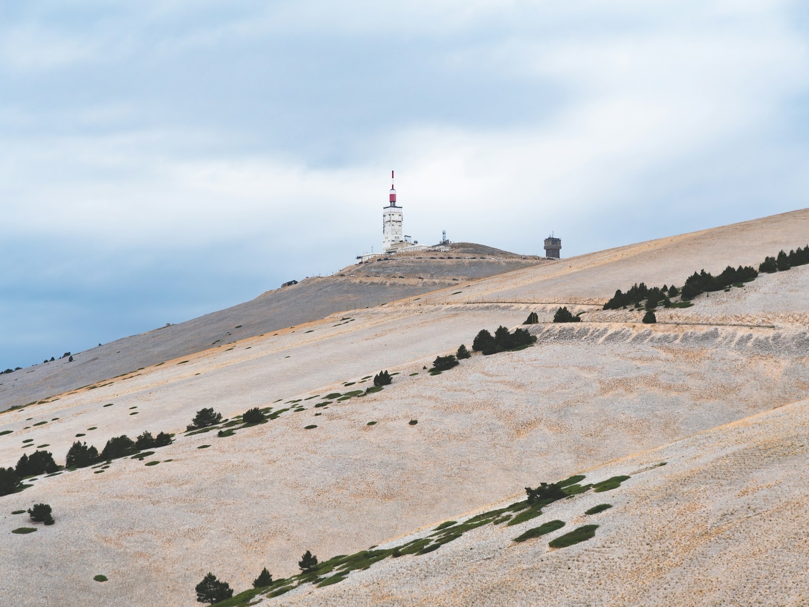 2026 Le Ventoux à l'honneur : 20 membres du club au sommet