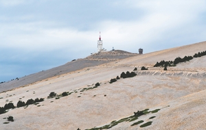 2026 Le Ventoux à l'honneur : 20 membres du club au sommet