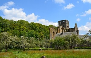 De l'abbaye d'Hambye à Muneville sur mer 