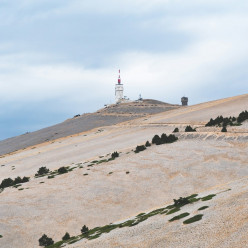 2026 Le Ventoux à l'honneur : 20 membres du club au sommet